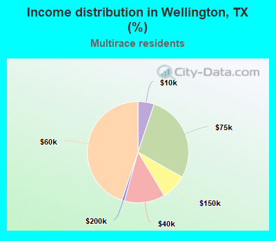 Income distribution in Wellington, TX (%)