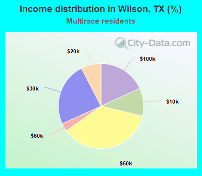 Income distribution in Wilson, TX (%)