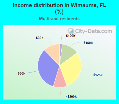 Income distribution in Wimauma, FL (%)
