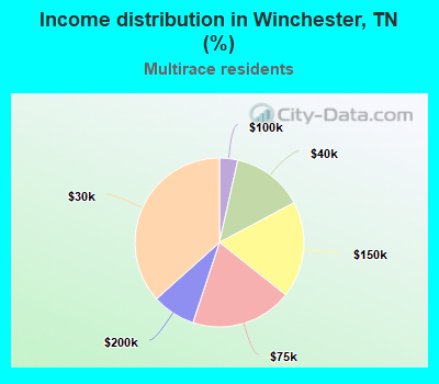 Income distribution in Winchester, TN (%)