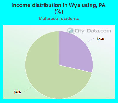 Income distribution in Wyalusing, PA (%)