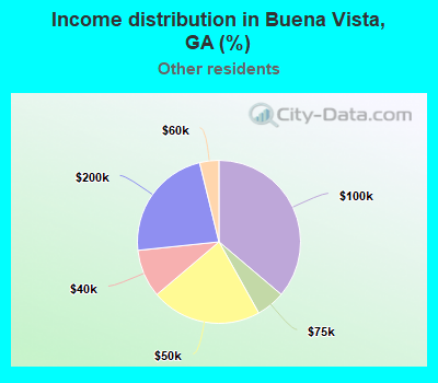 Income distribution in Buena Vista, GA (%)