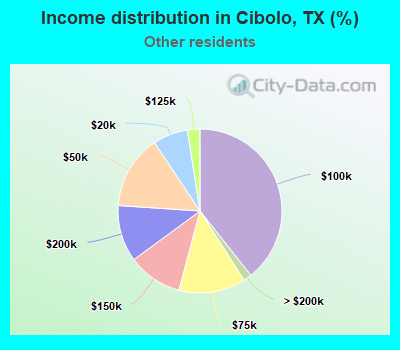 Income distribution in Cibolo, TX (%)