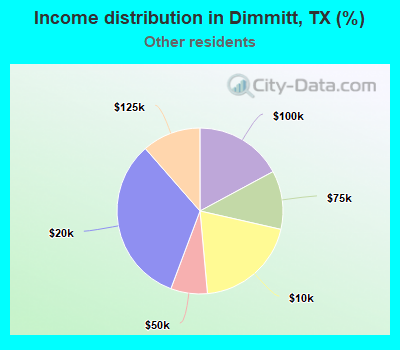 Income distribution in Dimmitt, TX (%)