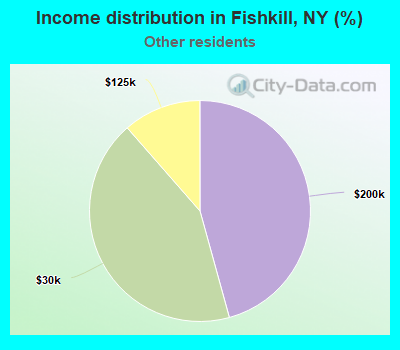 Income distribution in Fishkill, NY (%)