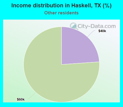Income distribution in Haskell, TX (%)