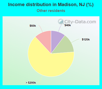 Income distribution in Madison, NJ (%)