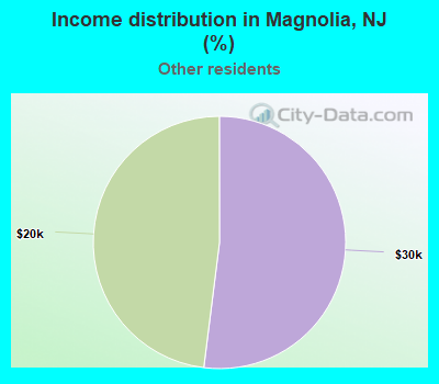 Income distribution in Magnolia, NJ (%)