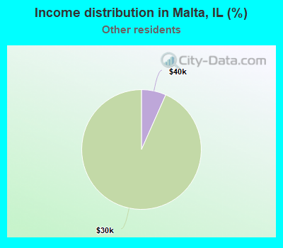 Income distribution in Malta, IL (%)