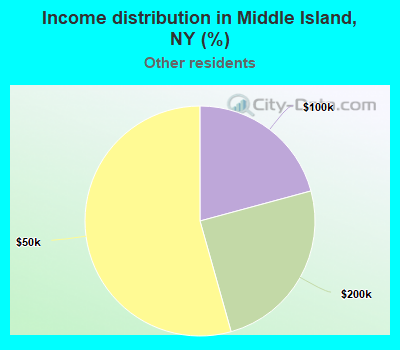 Income distribution in Middle Island, NY (%)