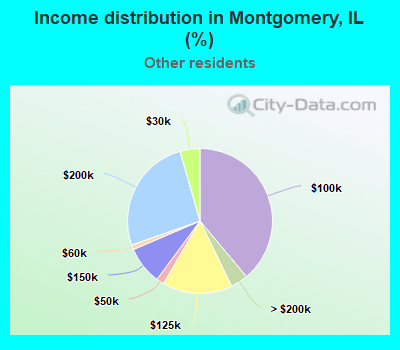 Income distribution in Montgomery, IL (%)