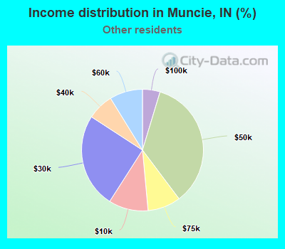 Income distribution in Muncie, IN (%)