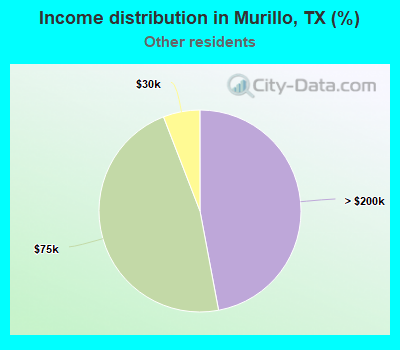 Income distribution in Murillo, TX (%)