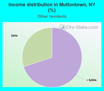 Income distribution in Muttontown, NY (%)