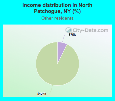 Income distribution in North Patchogue, NY (%)