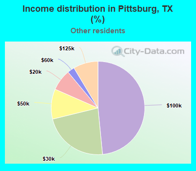 Income distribution in Pittsburg, TX (%)