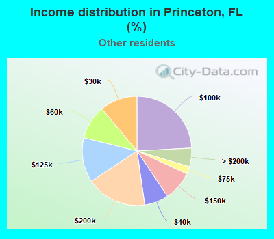 Income distribution in Princeton, FL (%)