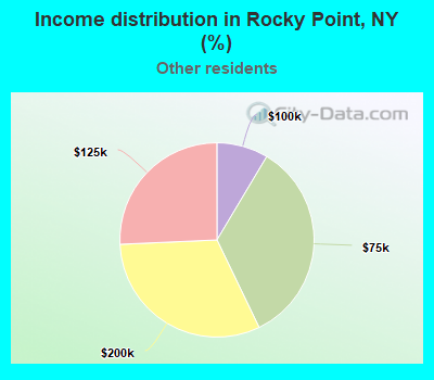 Income distribution in Rocky Point, NY (%)