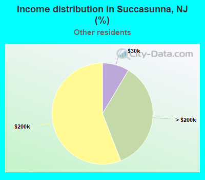 Income distribution in Succasunna, NJ (%)