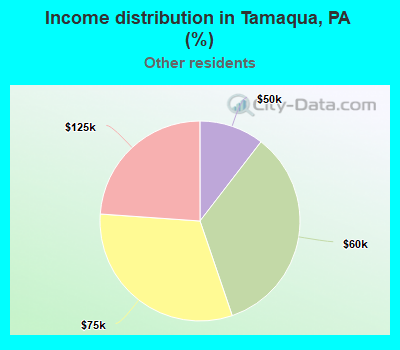 Income distribution in Tamaqua, PA (%)