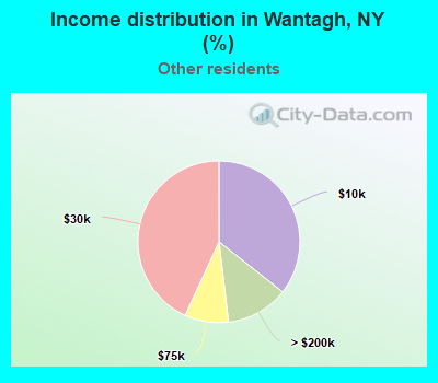 Income distribution in Wantagh, NY (%)