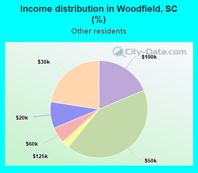 Income distribution in Woodfield, SC (%)