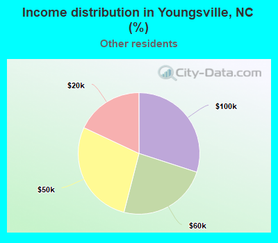 Income distribution in Youngsville, NC (%)
