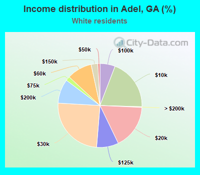 Income distribution in Adel, GA (%)