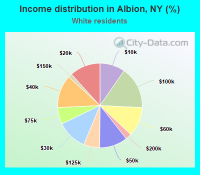 Income distribution in Albion, NY (%)