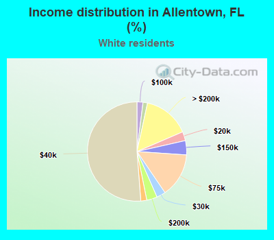 Income distribution in Allentown, FL (%)