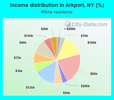 Income distribution in Arkport, NY (%)