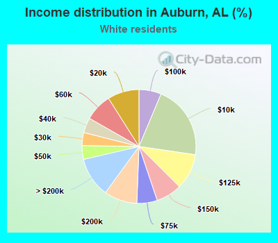 Income distribution in Auburn, AL (%)