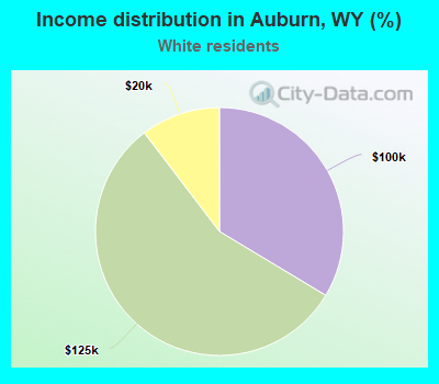 Income distribution in Auburn, WY (%)