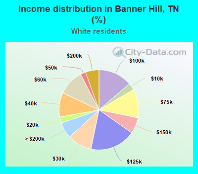 Income distribution in Banner Hill, TN (%)