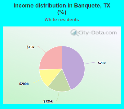 Income distribution in Banquete, TX (%)