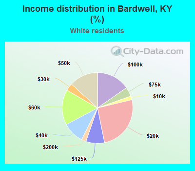 Income distribution in Bardwell, KY (%)