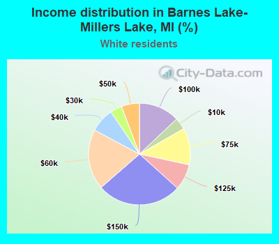 Income distribution in Barnes Lake-Millers Lake, MI (%)