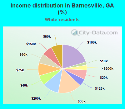 Income distribution in Barnesville, GA (%)