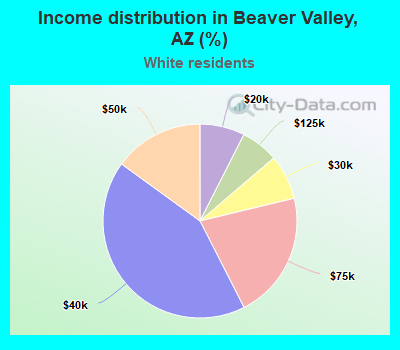 Income distribution in Beaver Valley, AZ (%)