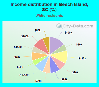 Income distribution in Beech Island, SC (%)