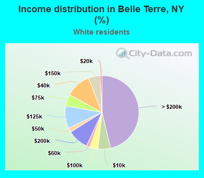 Income distribution in Belle Terre, NY (%)