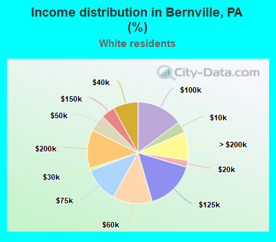 Income distribution in Bernville, PA (%)