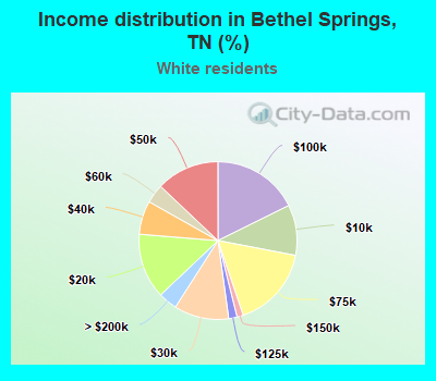 Income distribution in Bethel Springs, TN (%)