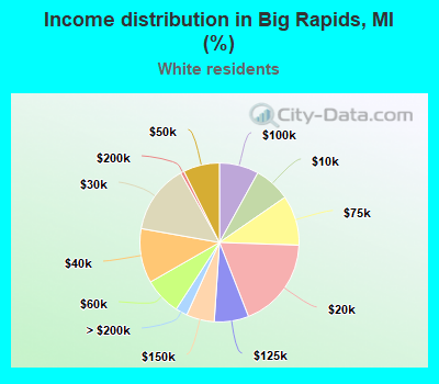 Income distribution in Big Rapids, MI (%)