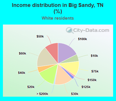 Income distribution in Big Sandy, TN (%)