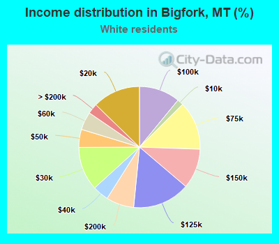 Income distribution in Bigfork, MT (%)