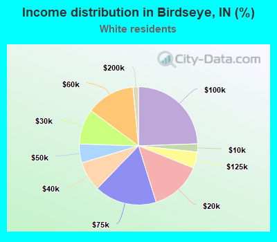 Income distribution in Birdseye, IN (%)
