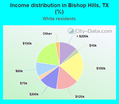 Income distribution in Bishop Hills, TX (%)