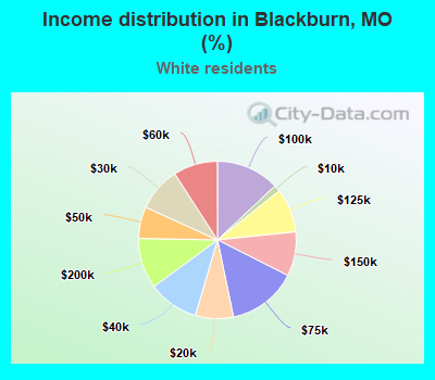 Income distribution in Blackburn, MO (%)