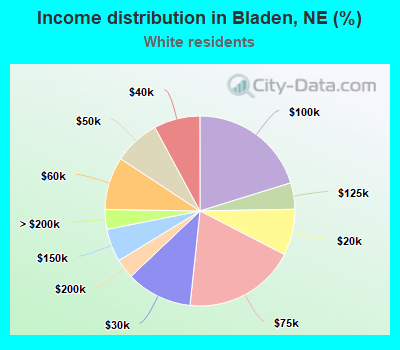 Income distribution in Bladen, NE (%)